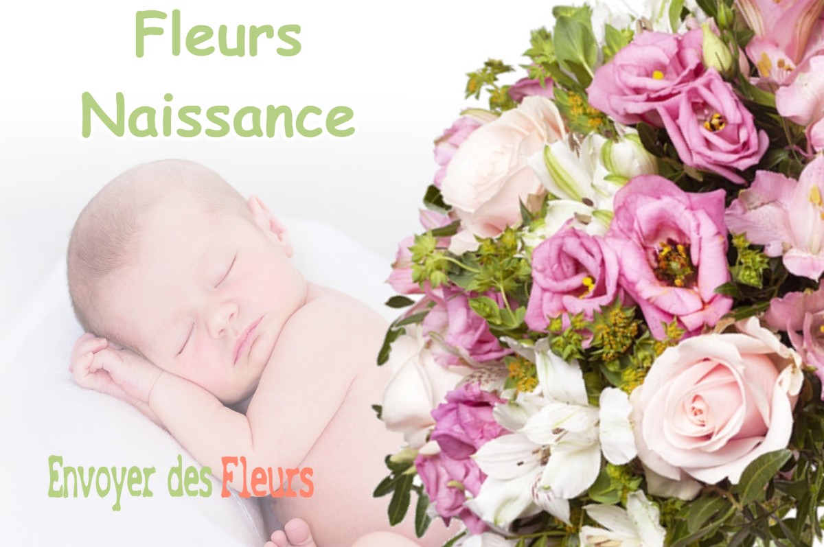 lIVRAISON FLEURS NAISSANCE à DESNES